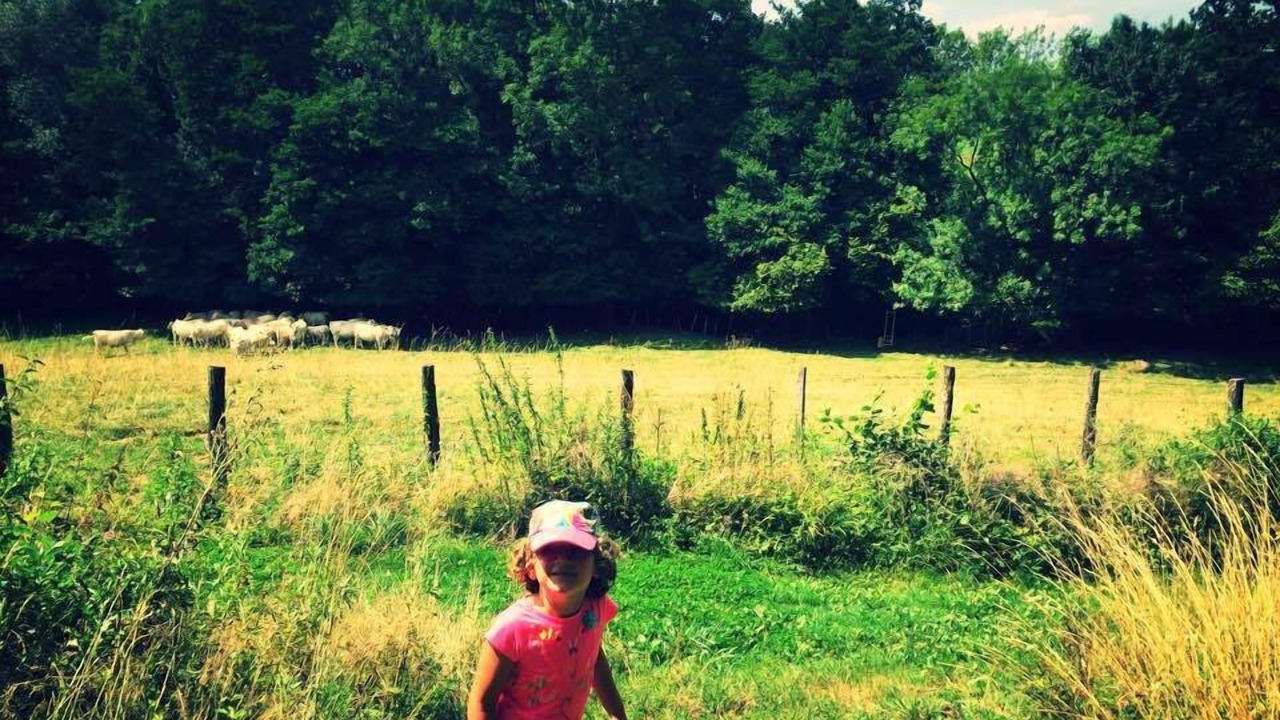 Photo of Outdoor in Montmorot