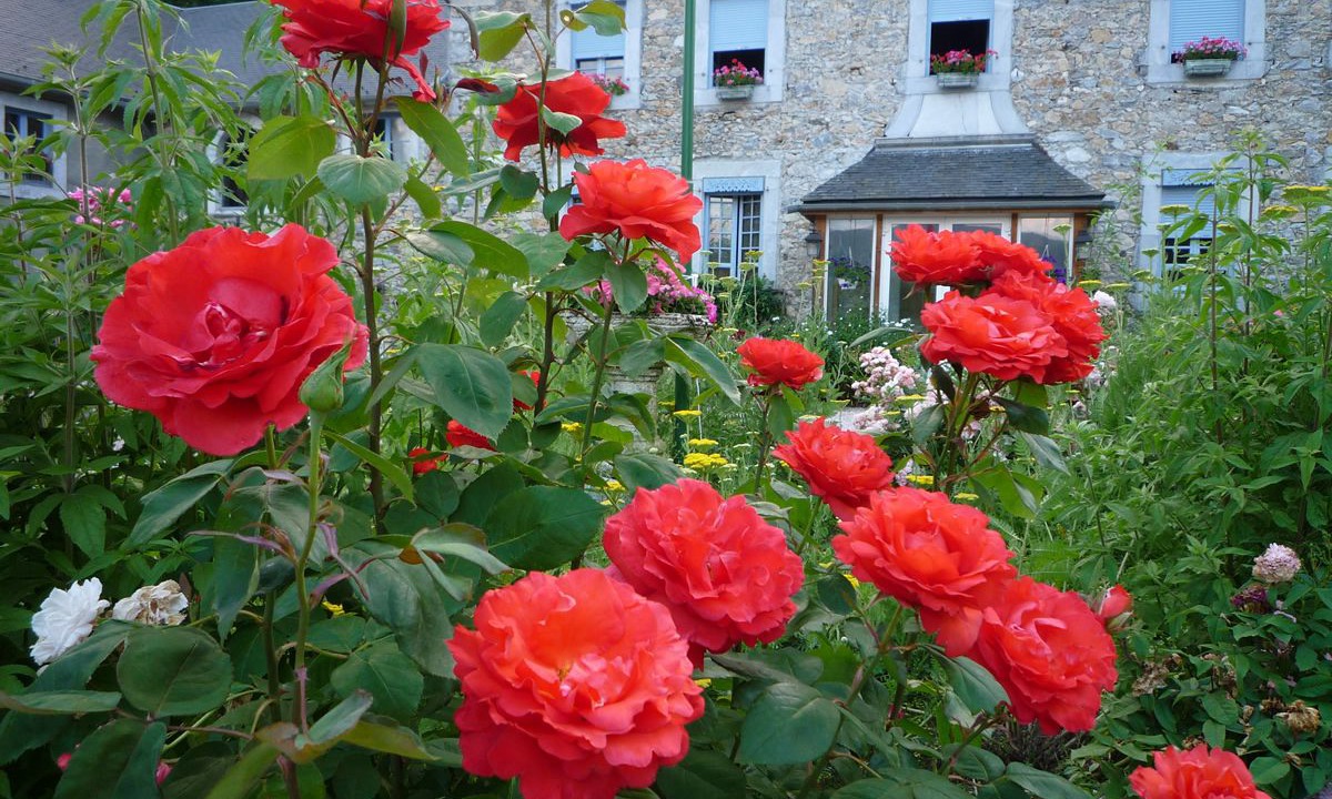 Photo of Outdoor in Clarac