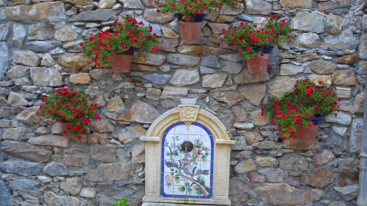 Photo of Outdoor in Clarac