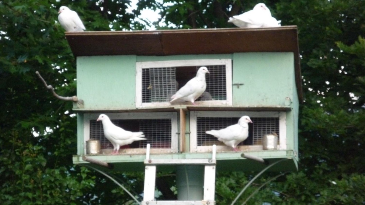 Photo of Outdoor in Clarac