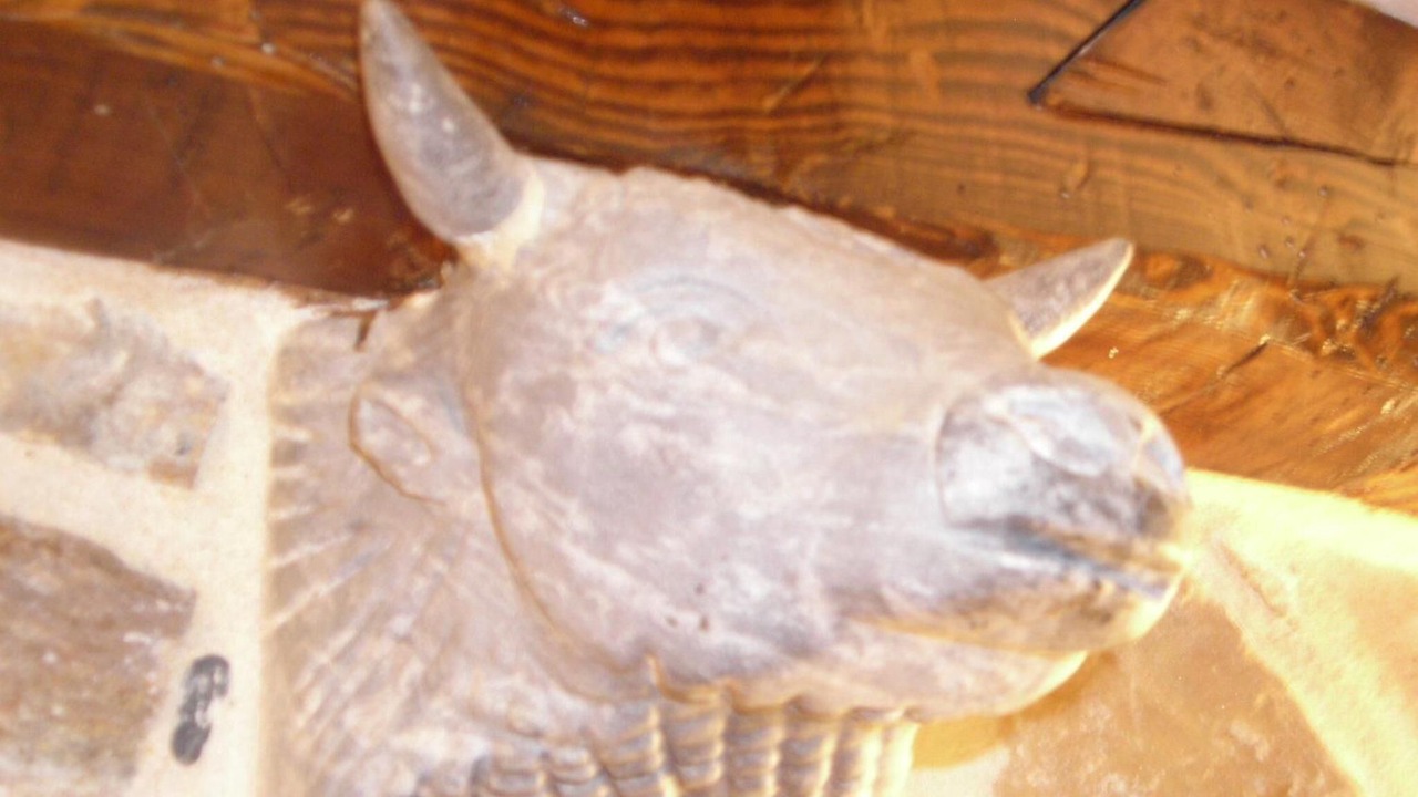 Photo of Others in Clarac