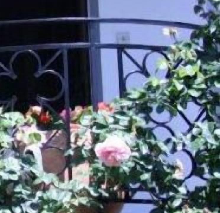 Photo of Outdoor in Ciboure