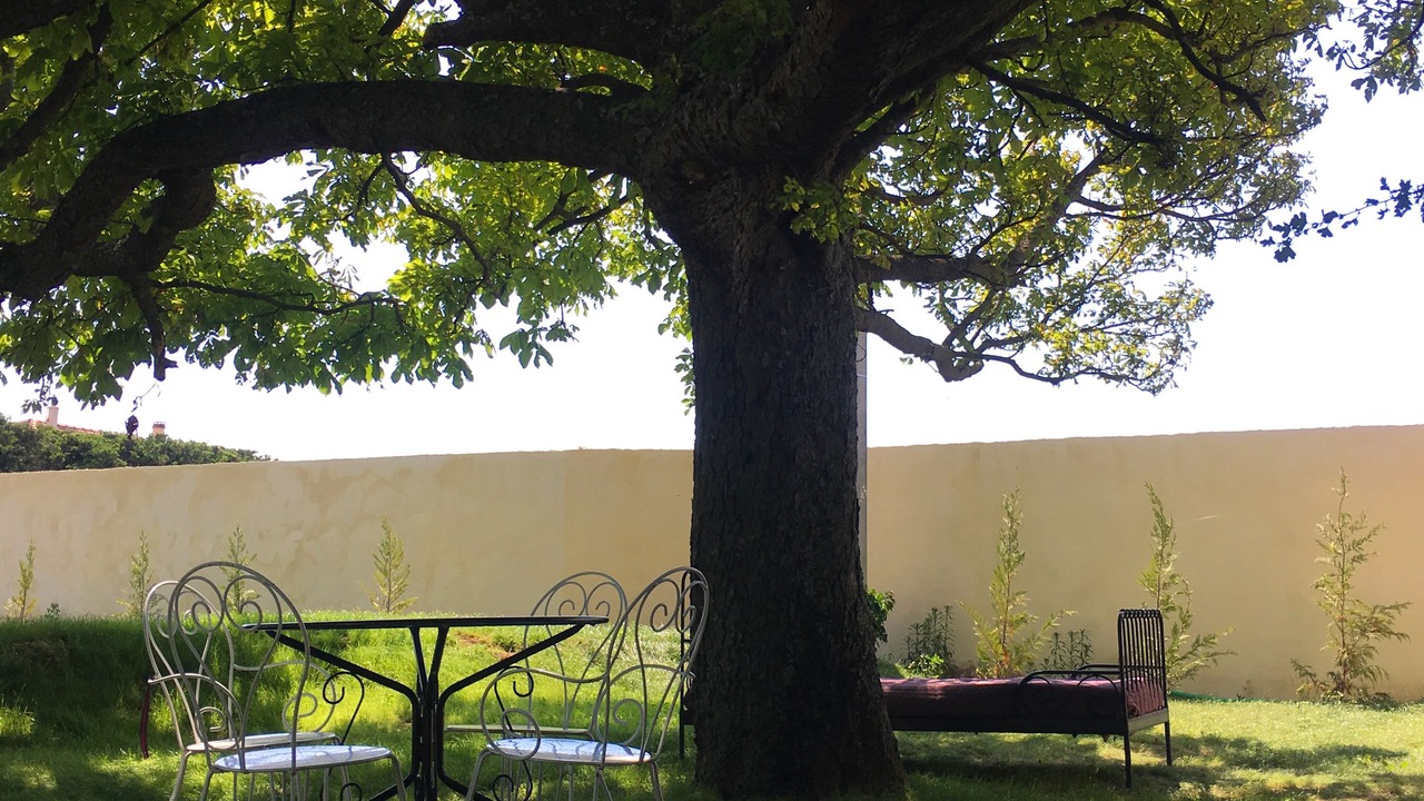 Photo of Outdoor in Tulette