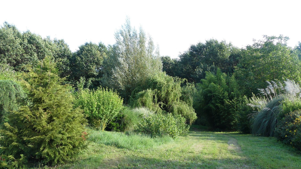 Photo of Outdoor in Saint-Marcet