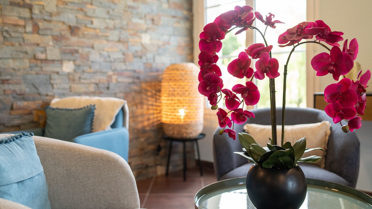 Photo of Others in Saint-Yrieix-la-Perche