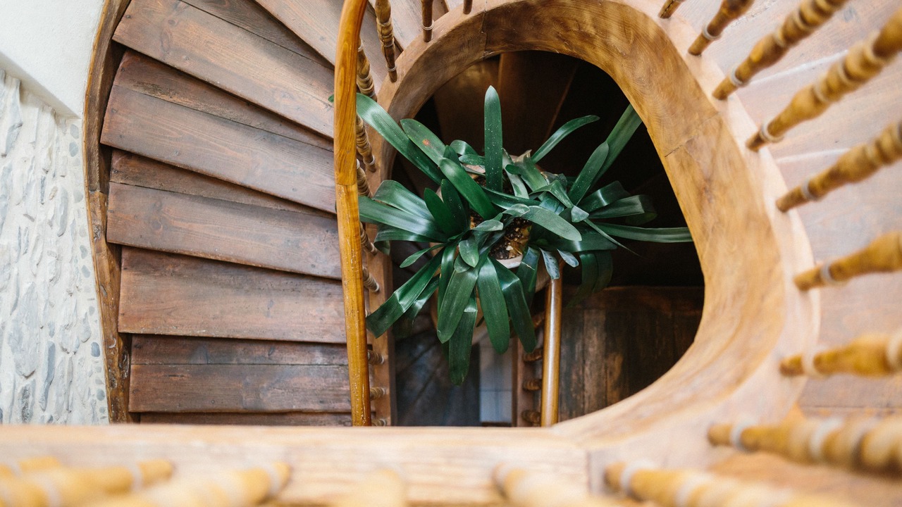 Photo of Others in Ciboure