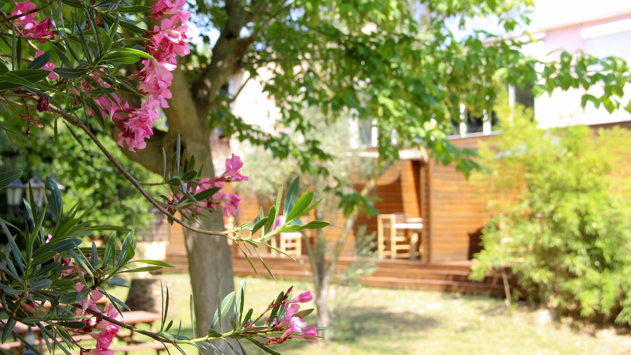 Photo of Outdoor in Serignan