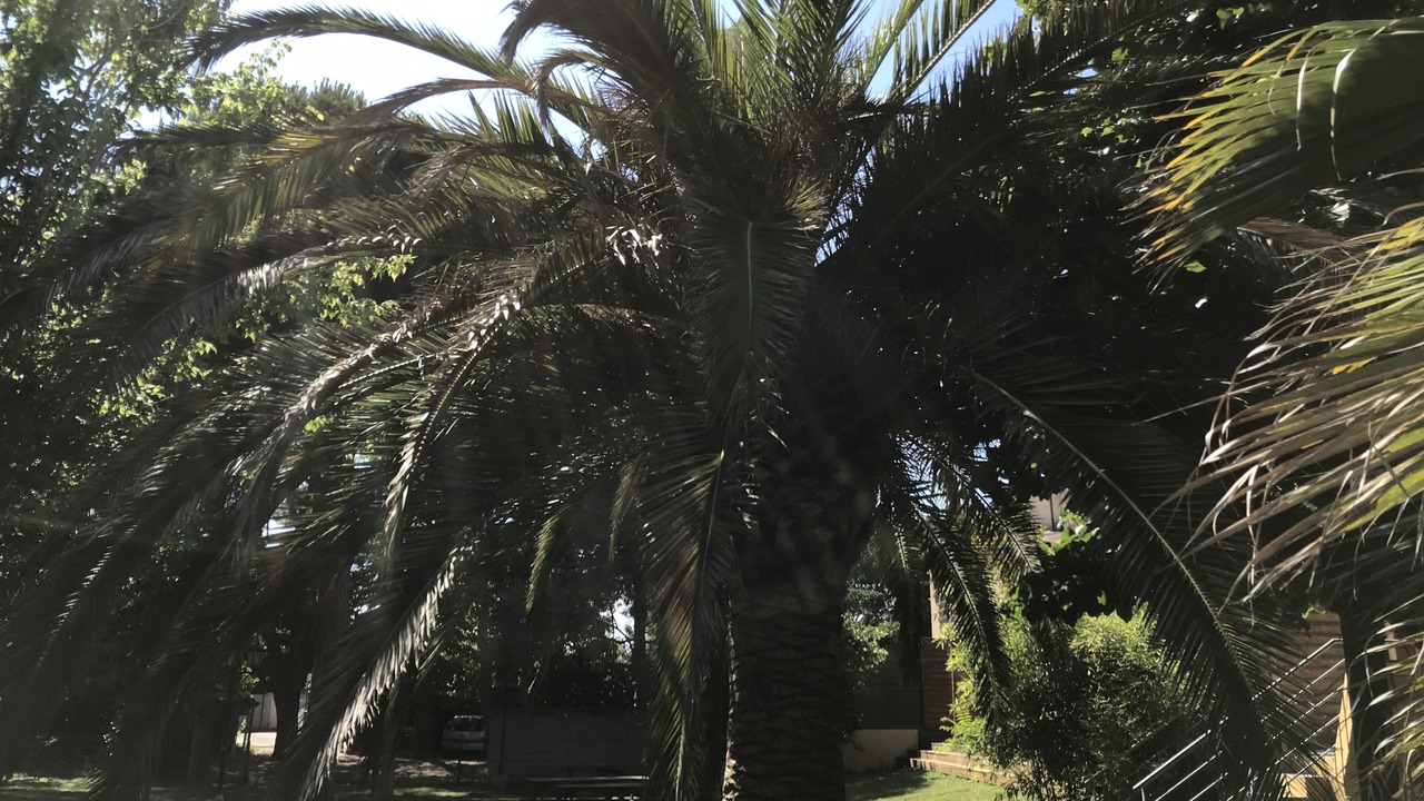 Photo of Others in Serignan