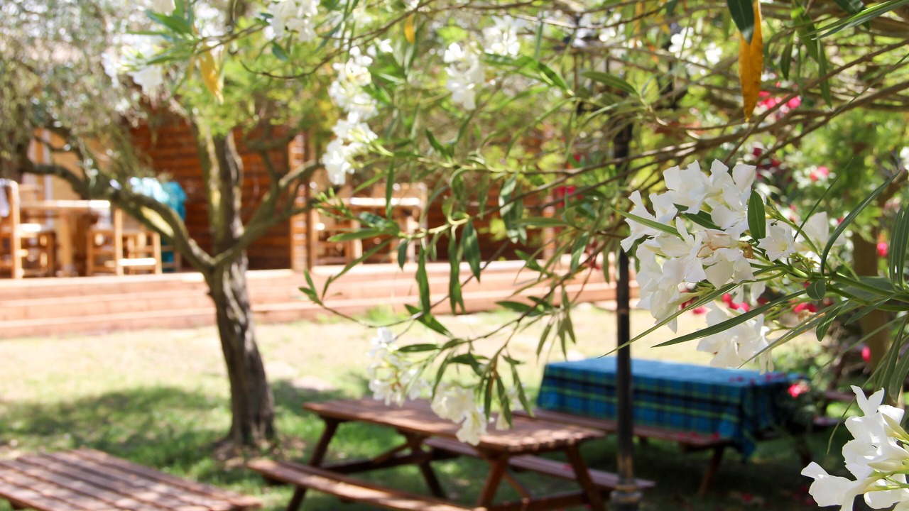 Photo of Outdoor in Serignan