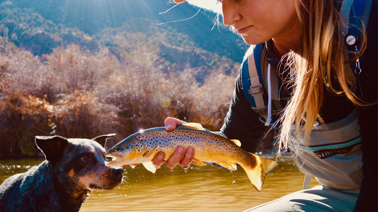 Photo of Others in Moran