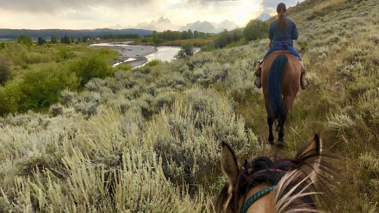 Photo of Others in Moran