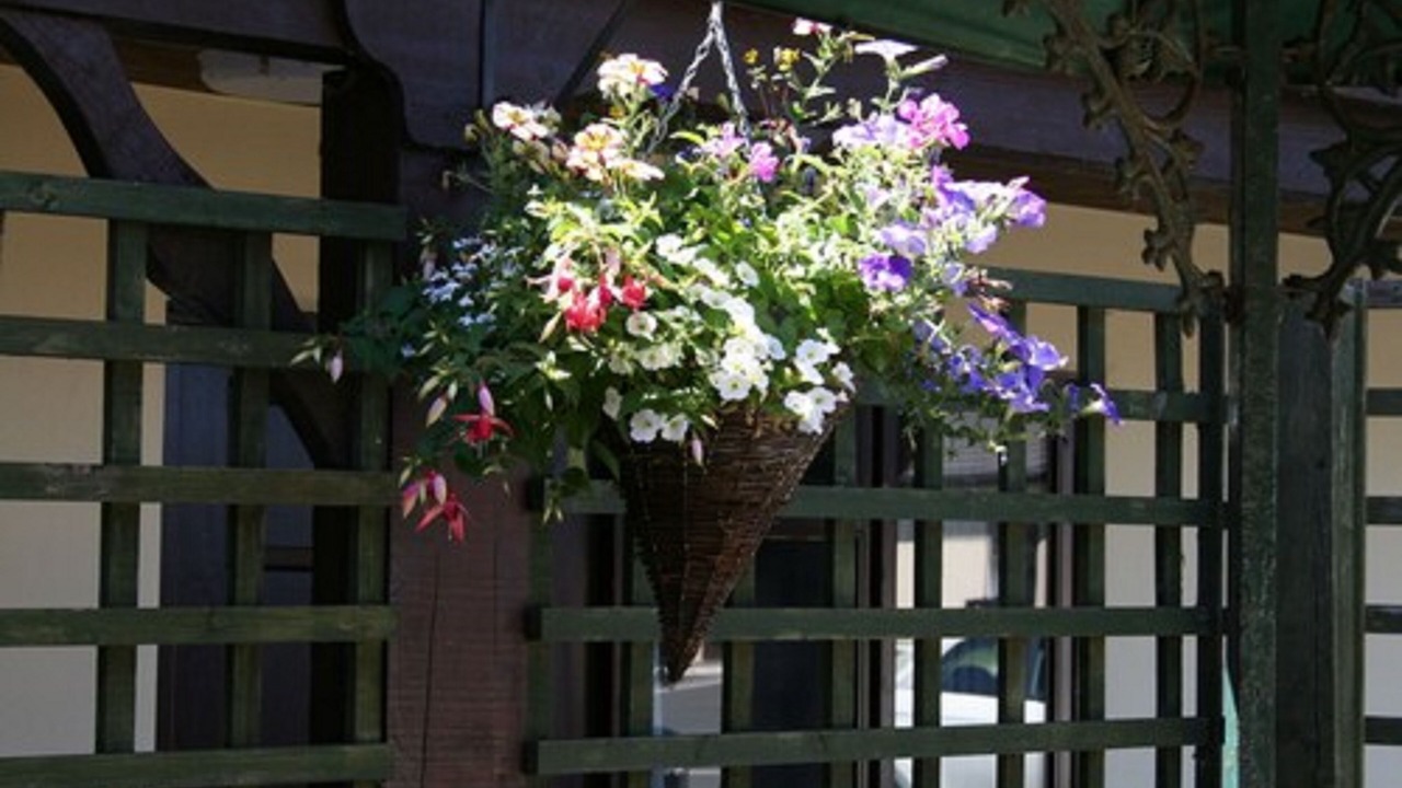 Photo of Outdoor in Pocklington