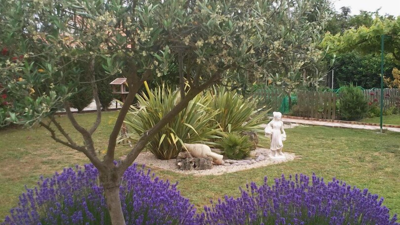 Photo of Outdoor in LʼIle-dʼOlonne