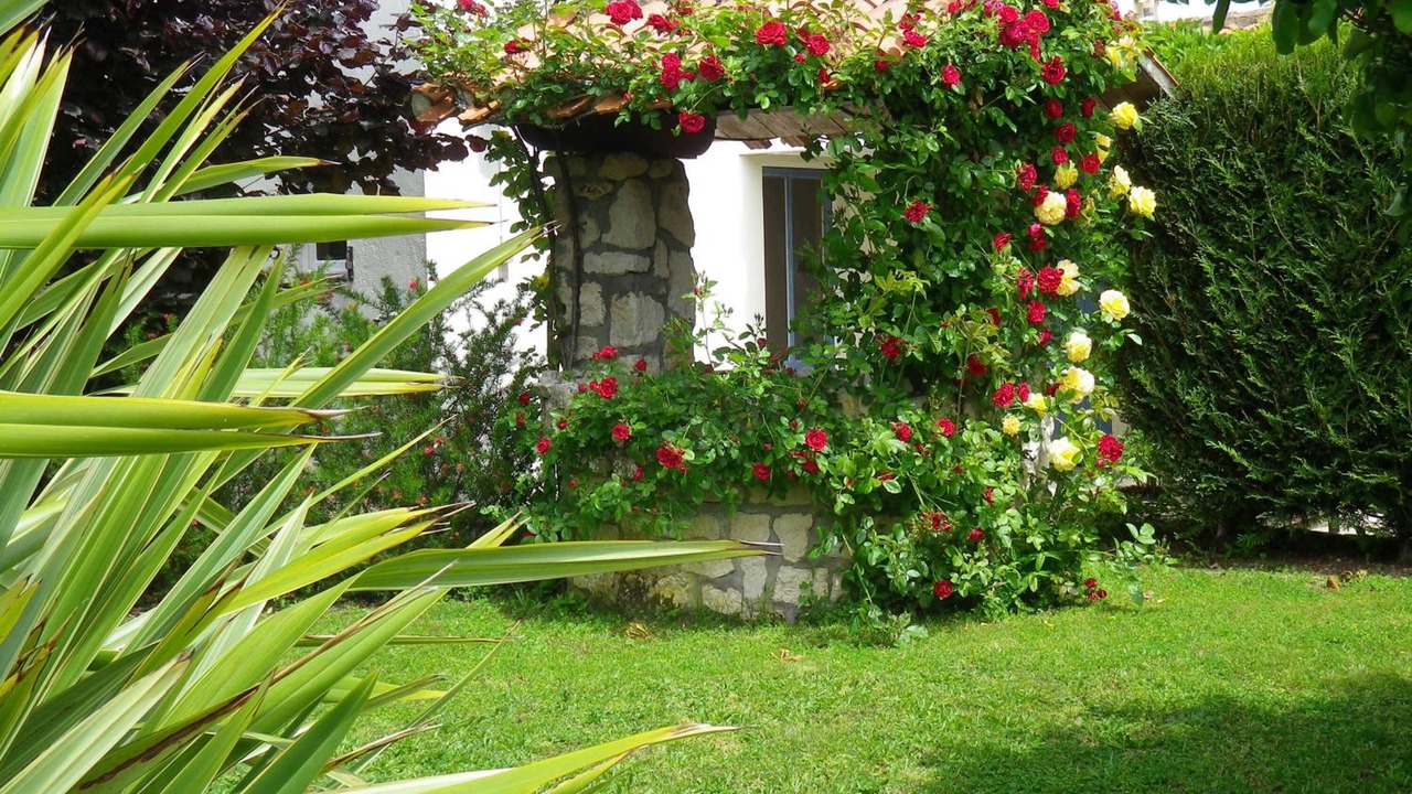 Photo of Outdoor in LʼIle-dʼOlonne