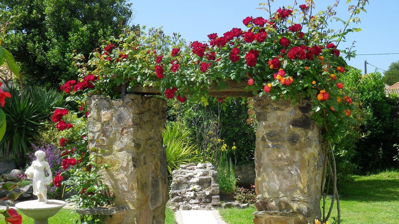 Photo of Outdoor in LʼIle-dʼOlonne