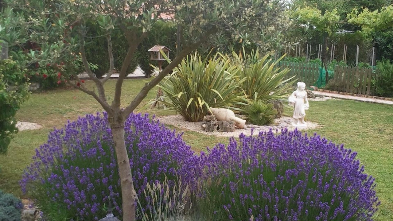 Photo of Outdoor in LʼIle-dʼOlonne