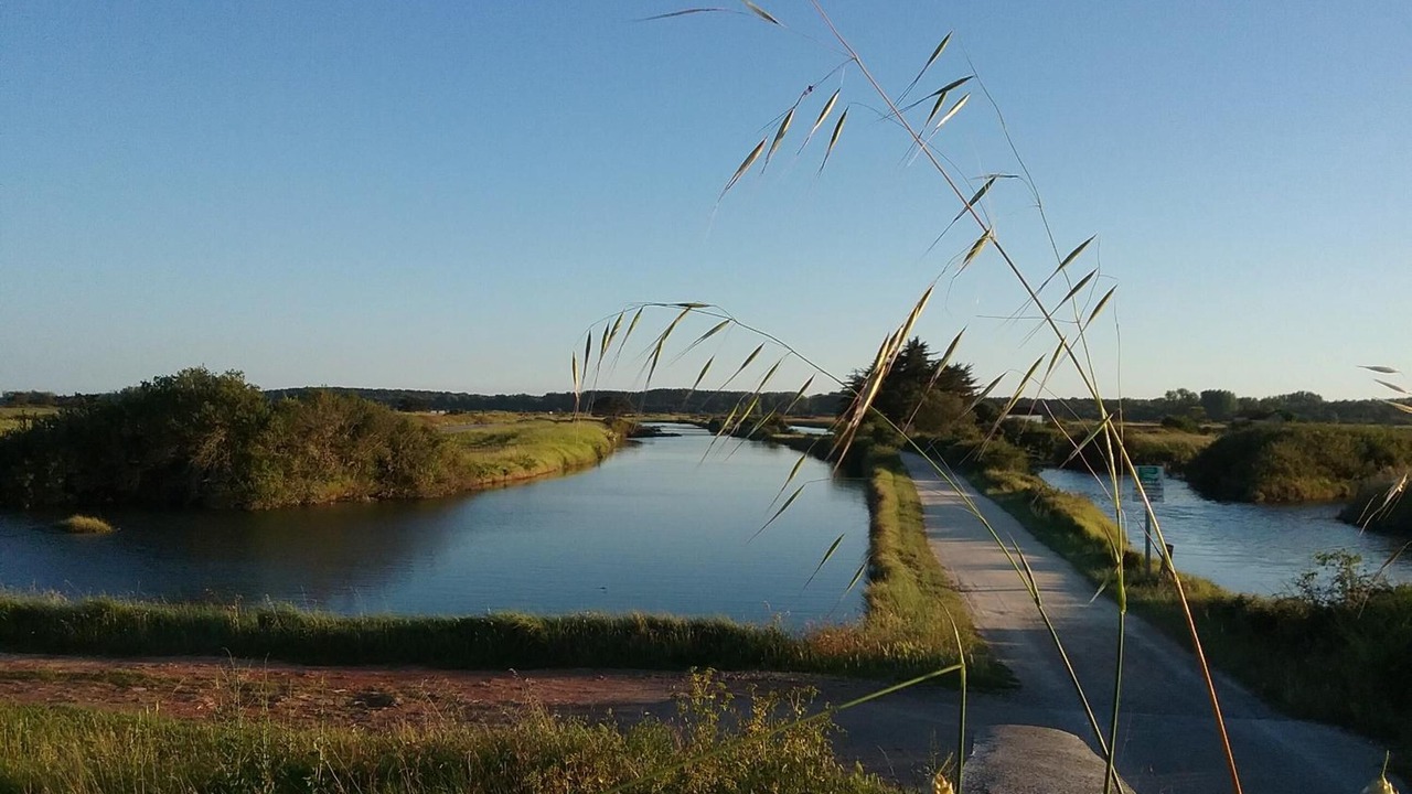 Photo of Outdoor in LʼIle-dʼOlonne