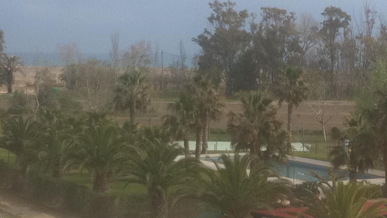 Photo of Outdoor in L'Eucaliptus