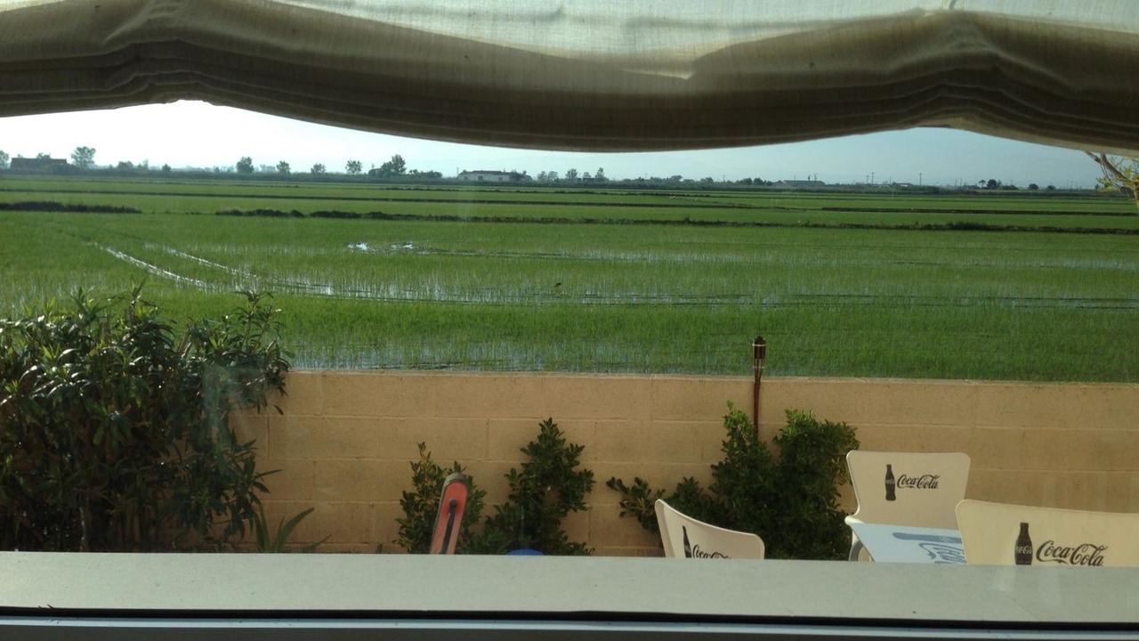 Photo of Patio Balcony in L'Eucaliptus