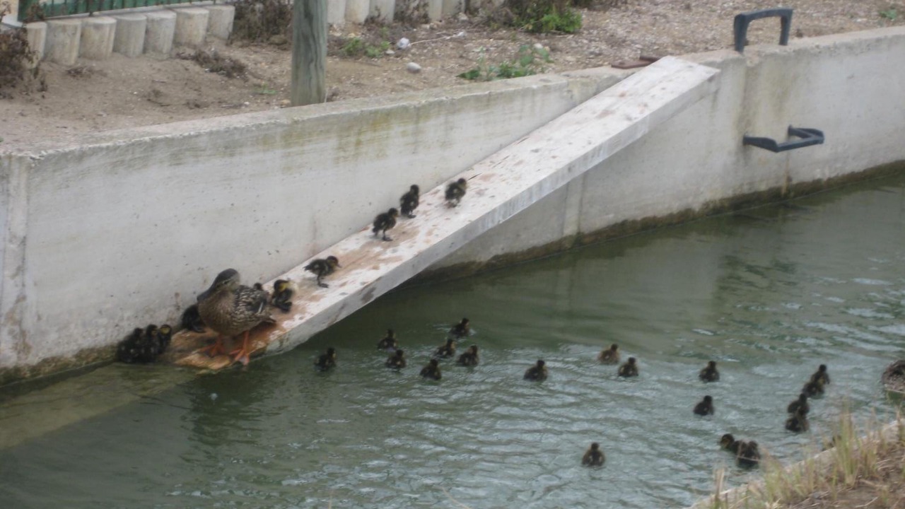 Photo of Outdoor in L'Eucaliptus
