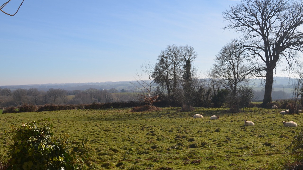 Photo of Outdoor in Sidiailles