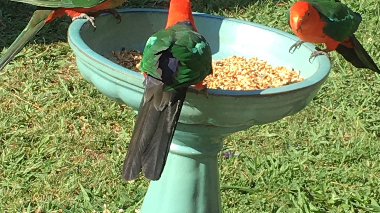 Photo of Outdoor in Bundanoon