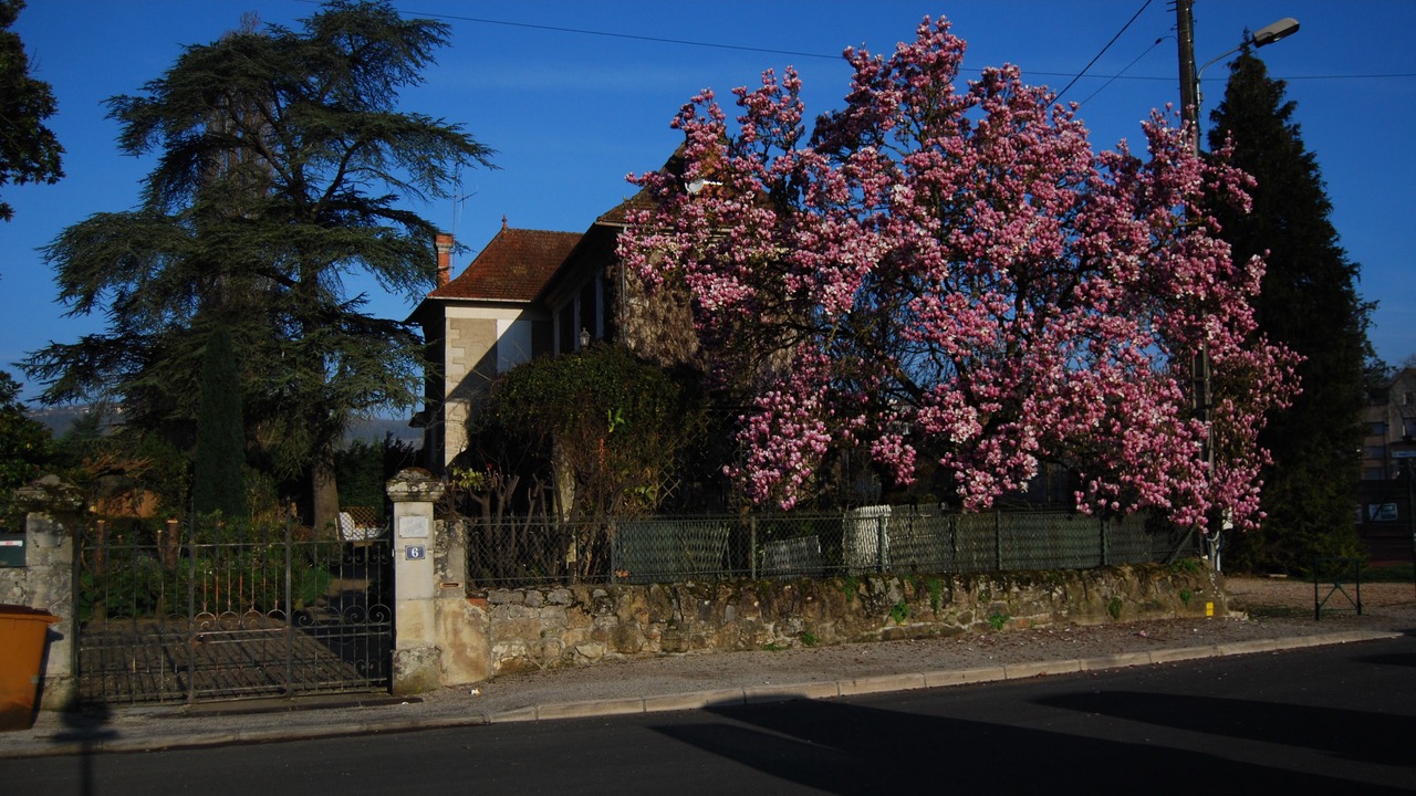Photo of Outdoor in Figeac