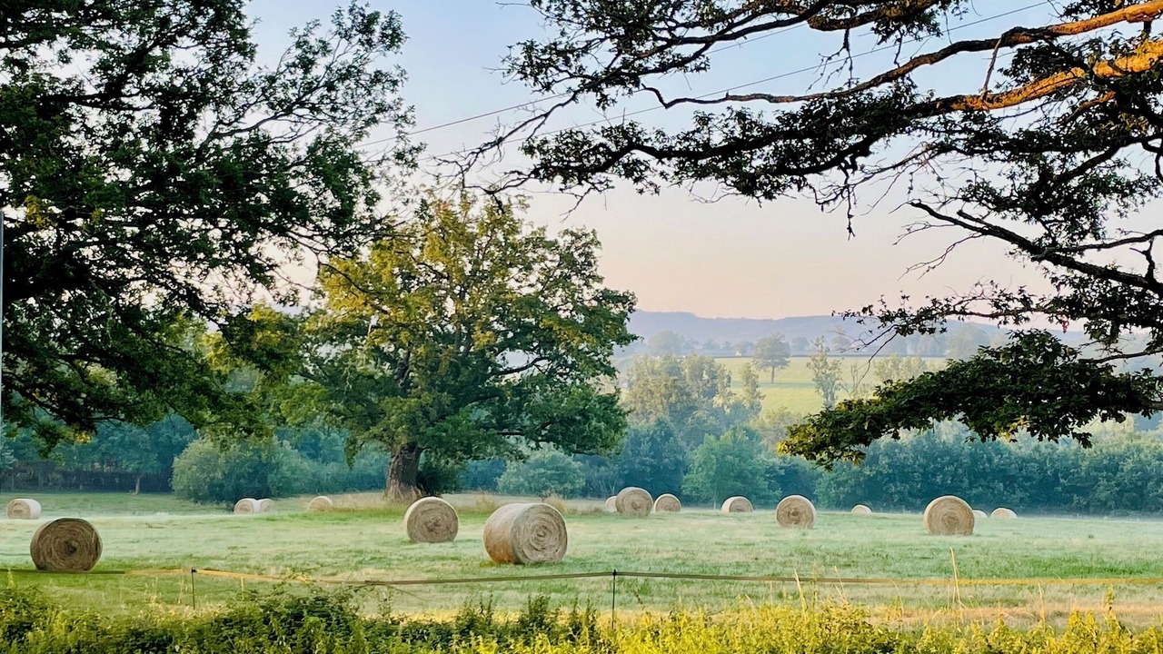 Photo of Outdoor in Malleret-Boussac