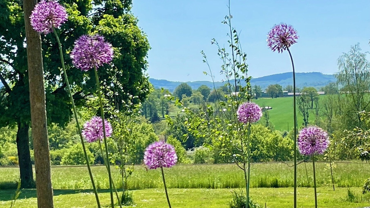 Photo of Outdoor in Malleret-Boussac