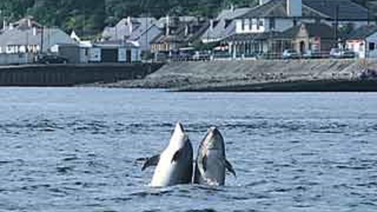 Photo of Others in Inverness