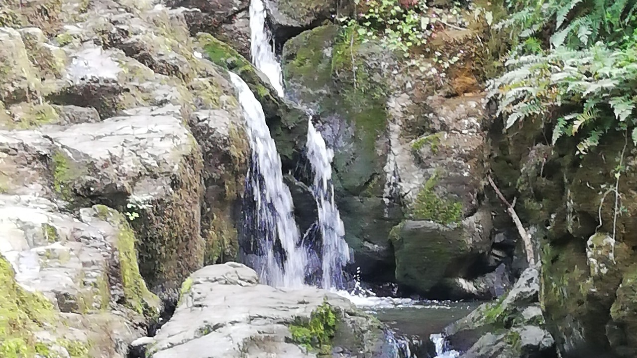 Photo of Others in Chenay