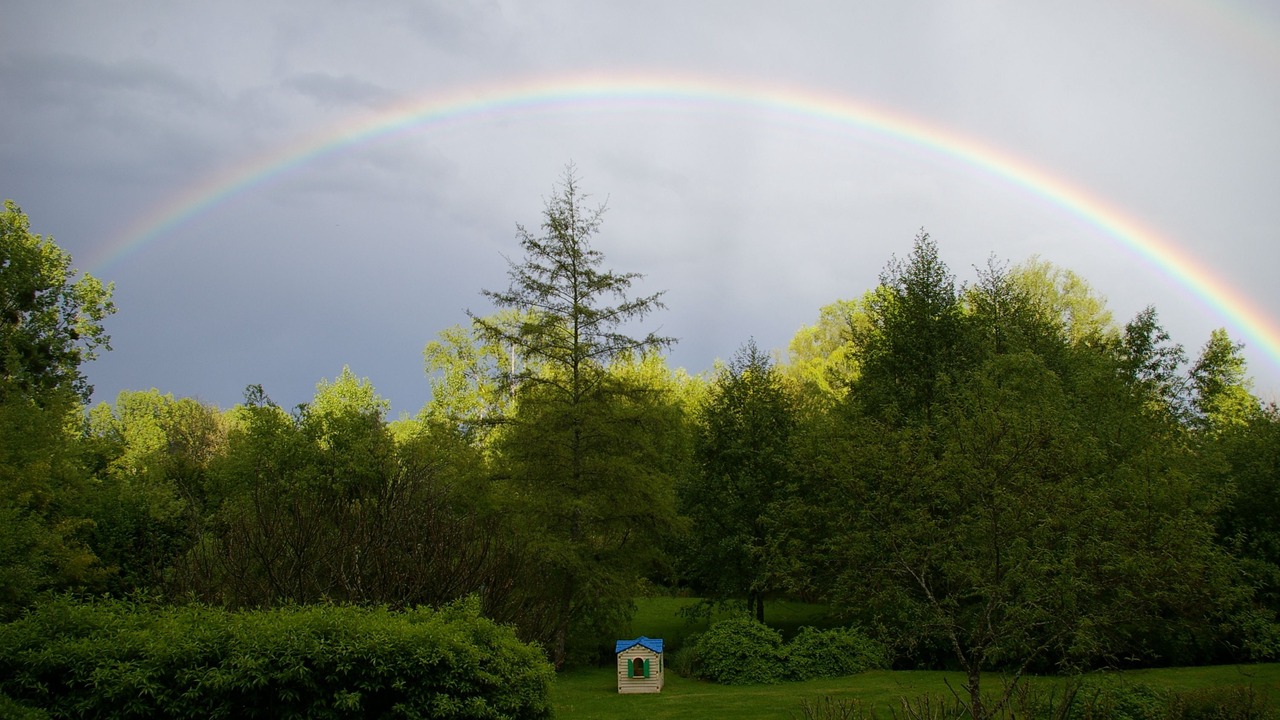 Photo of Others in Chambon-sur-Cisse