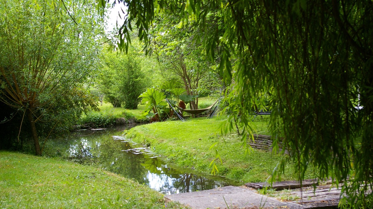 Photo of Outdoor in Chambon-sur-Cisse