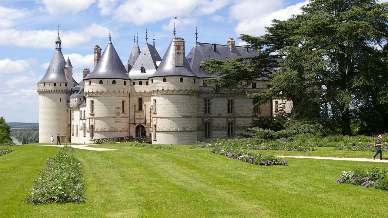 Photo of Others in Chambon-sur-Cisse