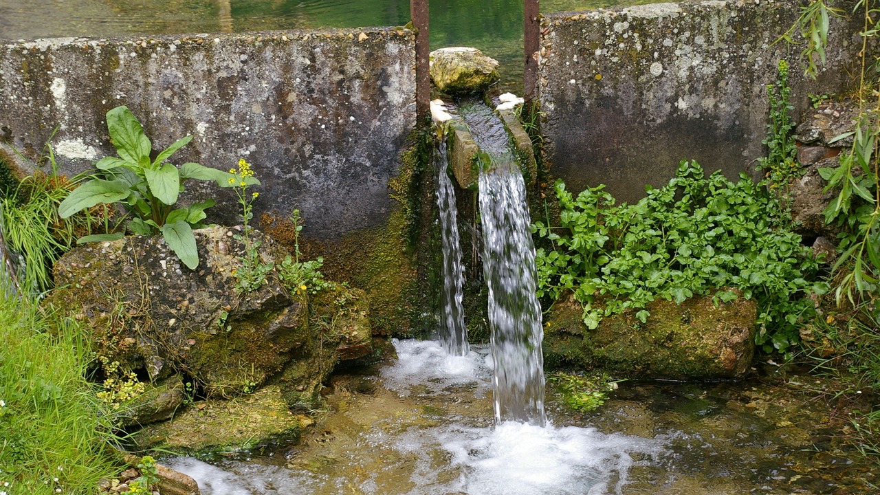 Photo of Outdoor in Chambon-sur-Cisse