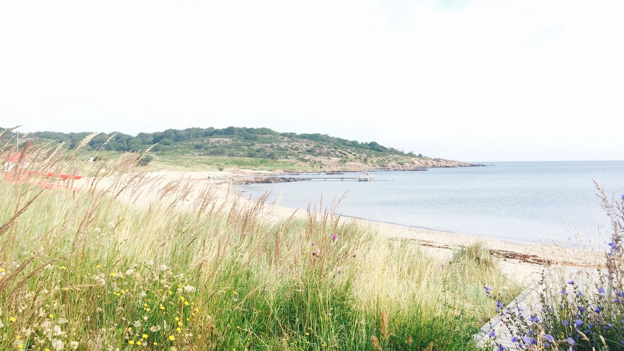 Photo of Others in Sandvig