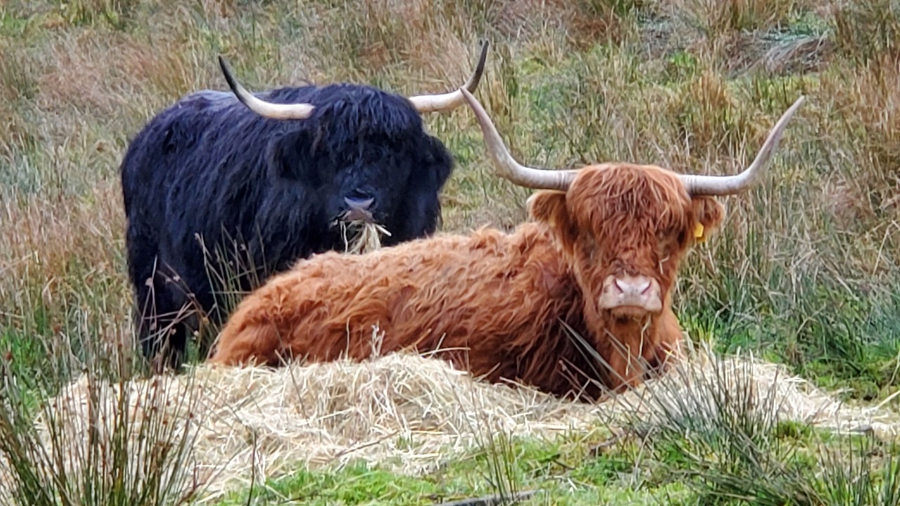 Photo of Others in Inveraray