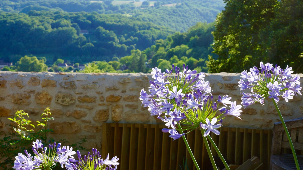 Photo of Others in Domme