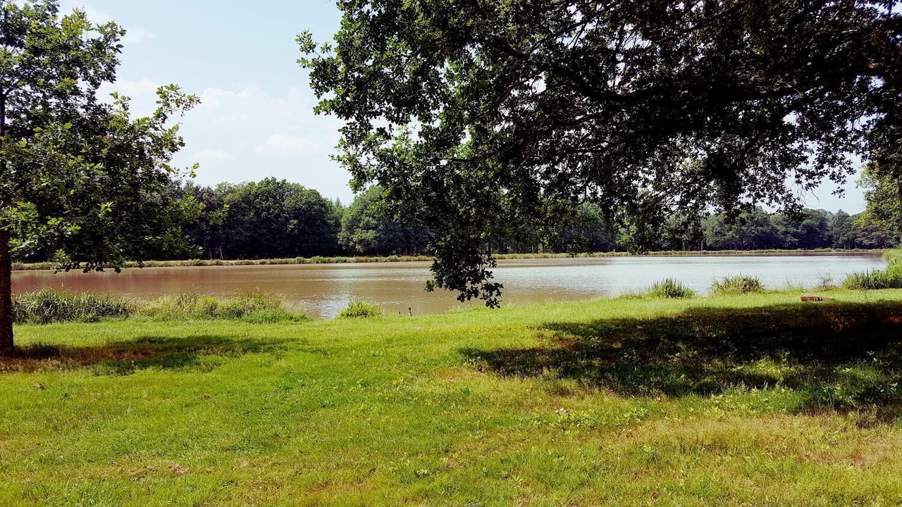 Photo of Outdoor in Sennely