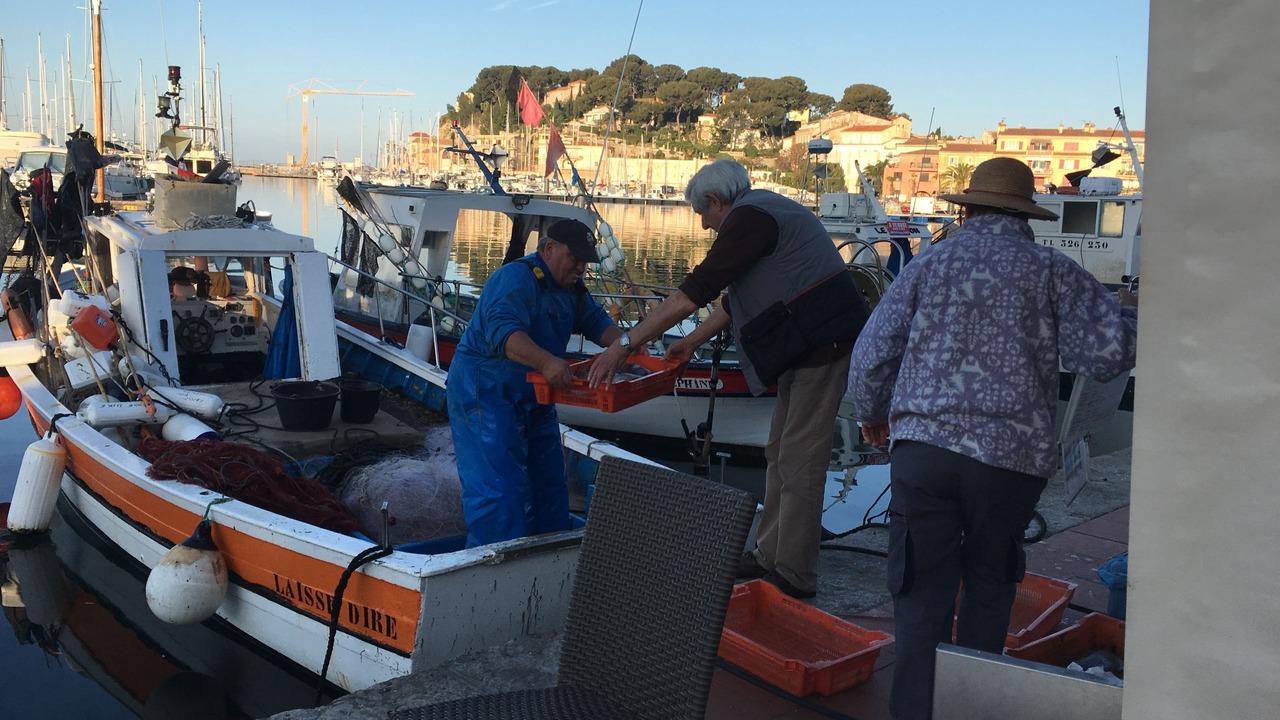 Photo of Others in Sanary-sur-Mer