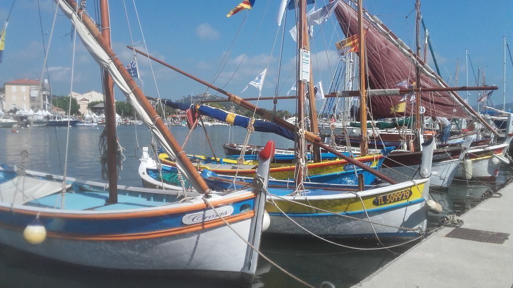 Photo of Others in Sanary-sur-Mer