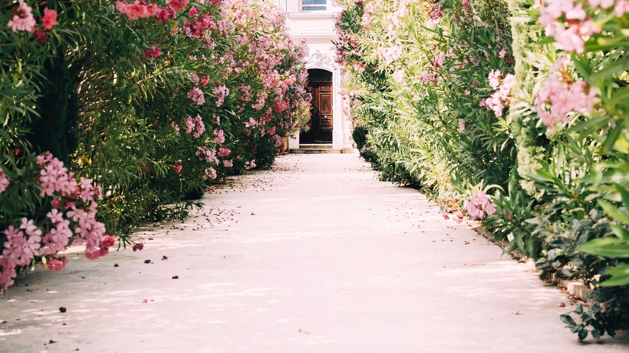 Photo of Others in Hyeres