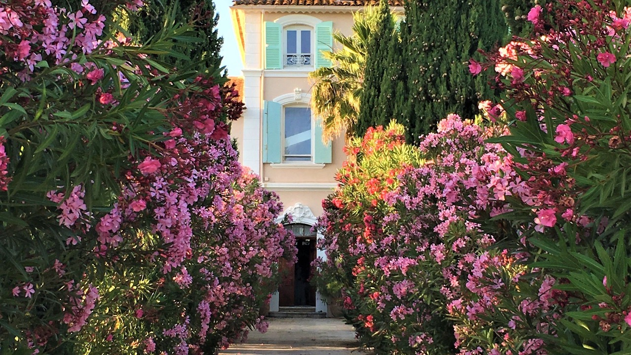 Photo of Others in Hyeres