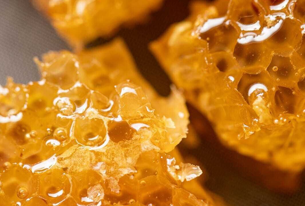 Photo of Outdoor in Versols-et-Lapeyre