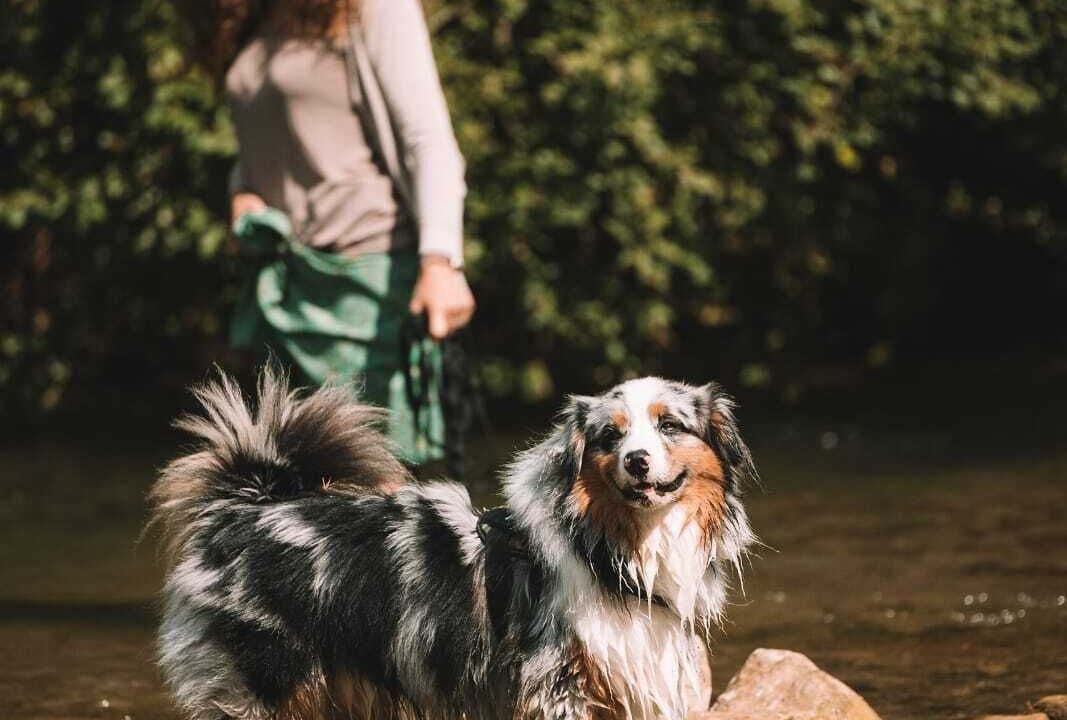 Photo of Outdoor in Versols-et-Lapeyre