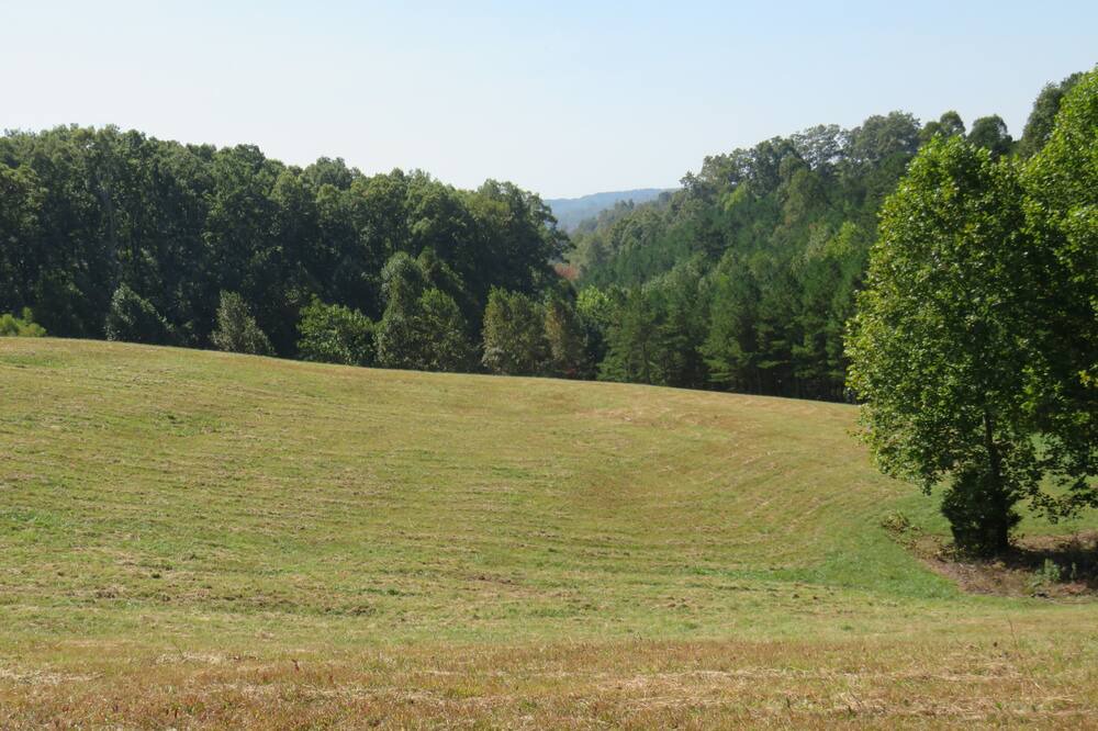 Photo of Others in East Bernstadt