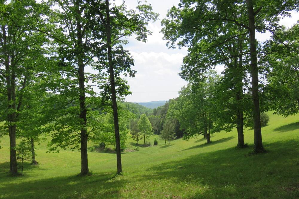 Photo of Others in East Bernstadt