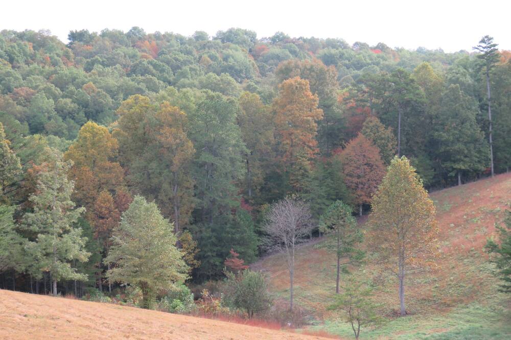 Photo of Others in East Bernstadt