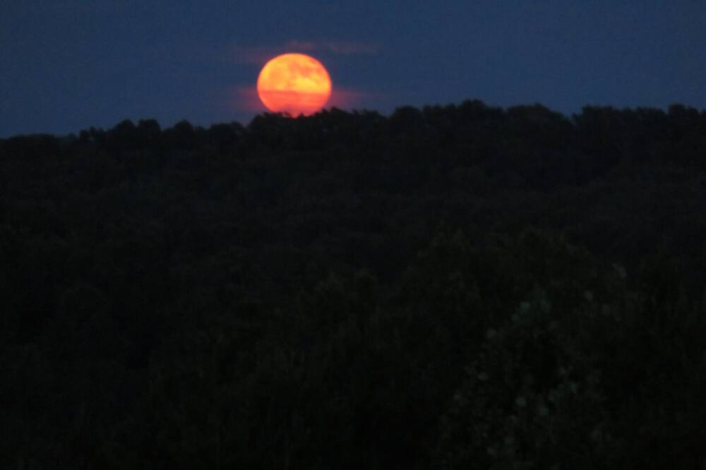 Photo of Others in East Bernstadt