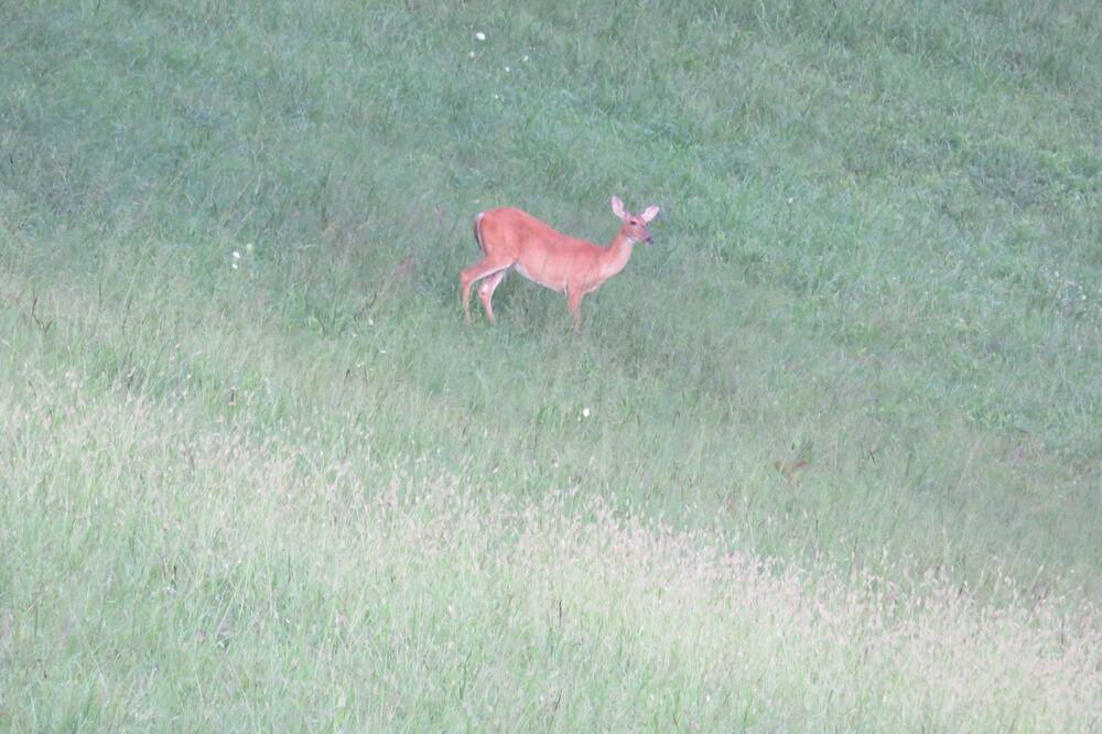 Photo of Others in East Bernstadt
